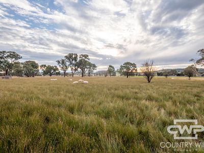340 Furracabad Road, Glen Innes