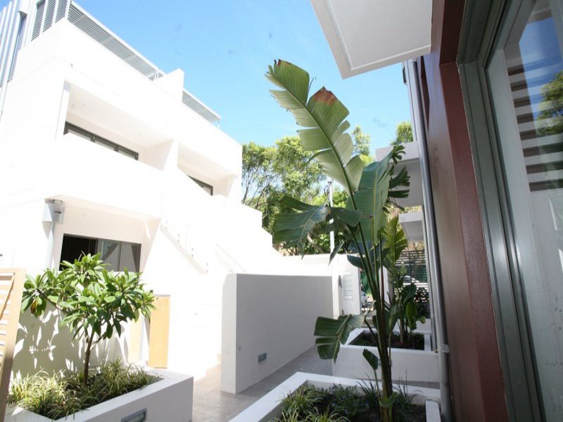 8 / 50 MacPherson Street, Bronte