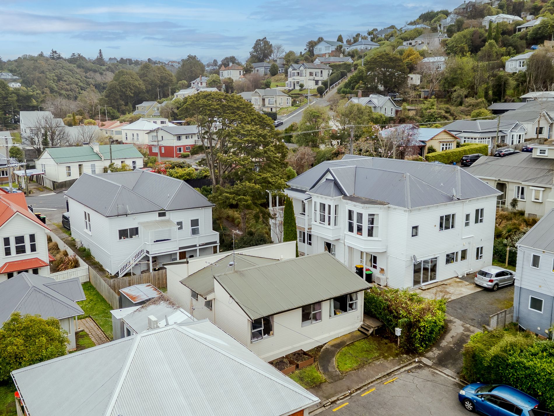 37 Carlyle Street, North East Valley