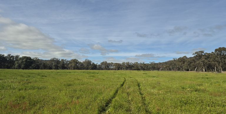 50 Ramage Road, Violet Town