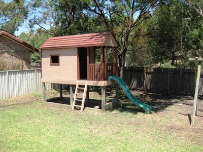Blackbutt