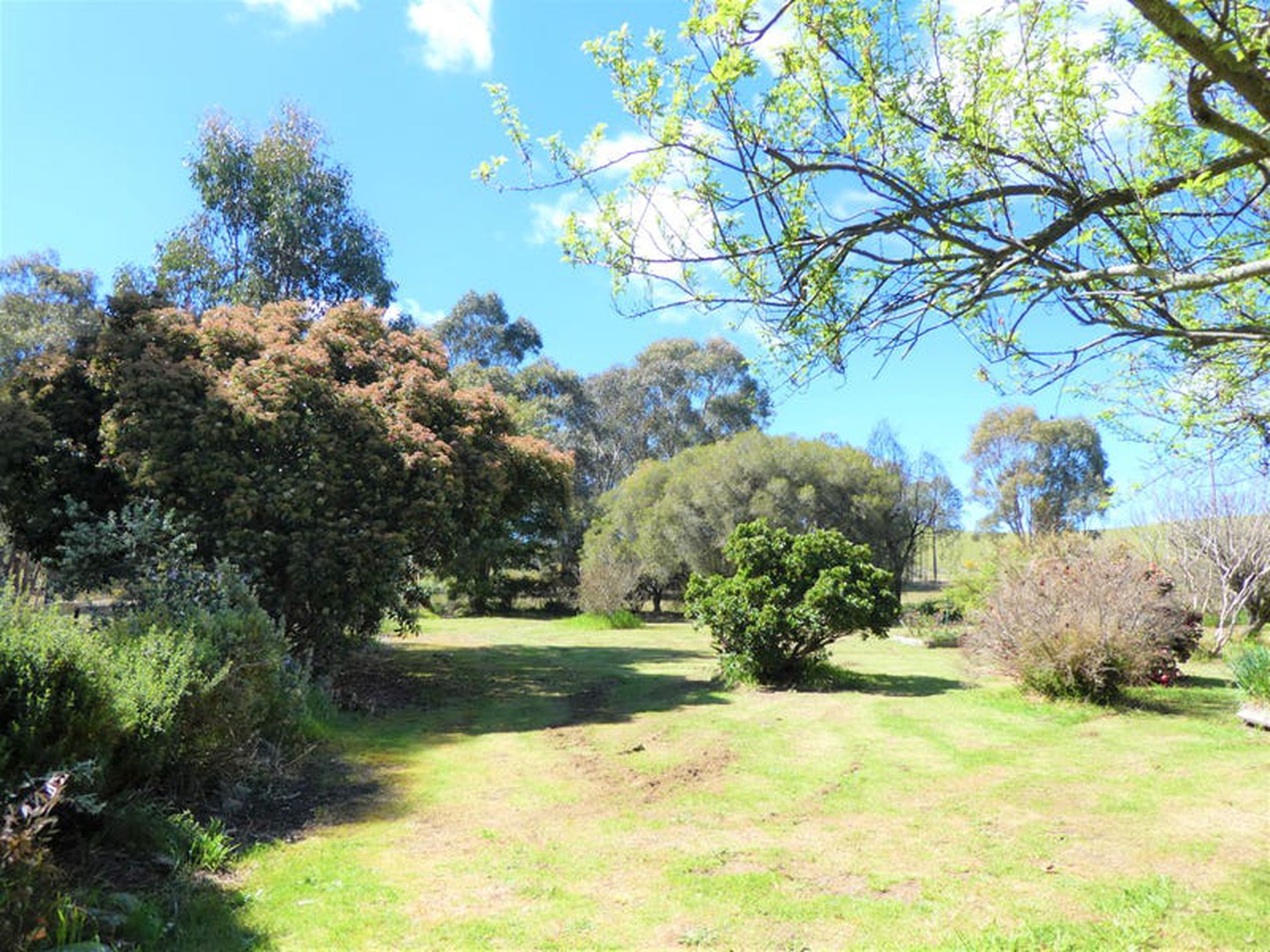 580 Telegraph Rd, Seymour