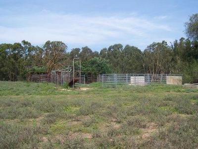 Enfield Street, Corowa