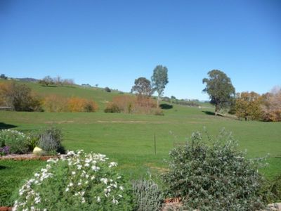 561 Gundowring Road, Gundowring