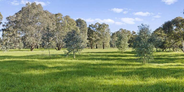 Lot 1, Irwin Street, Violet Town