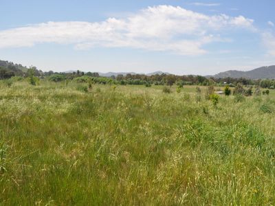 961 Yackandandah - Wodonga Road, Staghorn Flat