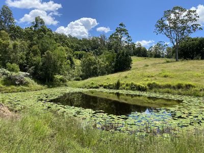 Conondale