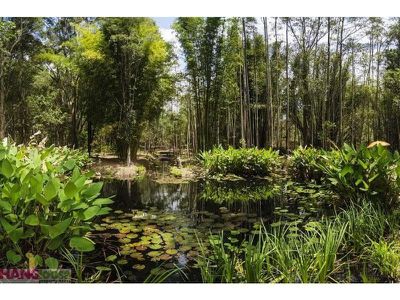 47 Killawarra Road, Lake Macdonald