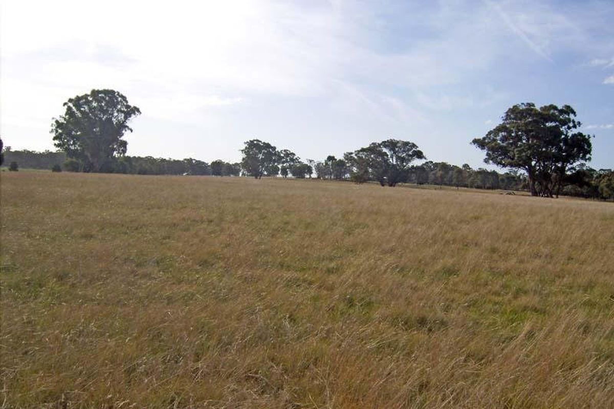 485 Wet Road, Murchison