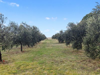 35 Hayes Gully Rd, Tooborac