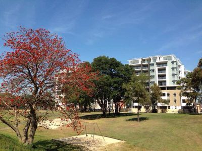 22-24 Rhodes Street, Hillsdale