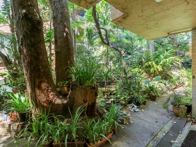 9 / 4 Holt Street, Double Bay