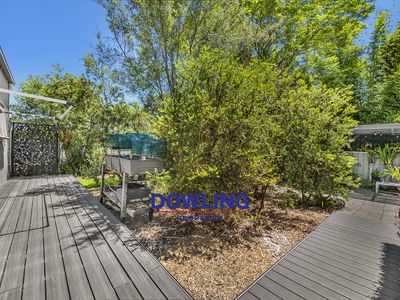 22 Silver Wattle Drive, Medowie
