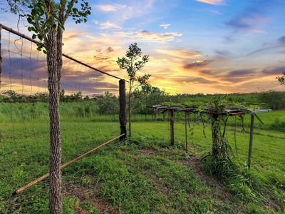 55 Meade Road, Darwin River