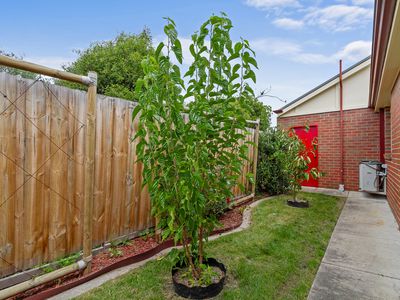 3 / 34 Dundas Street, Sale