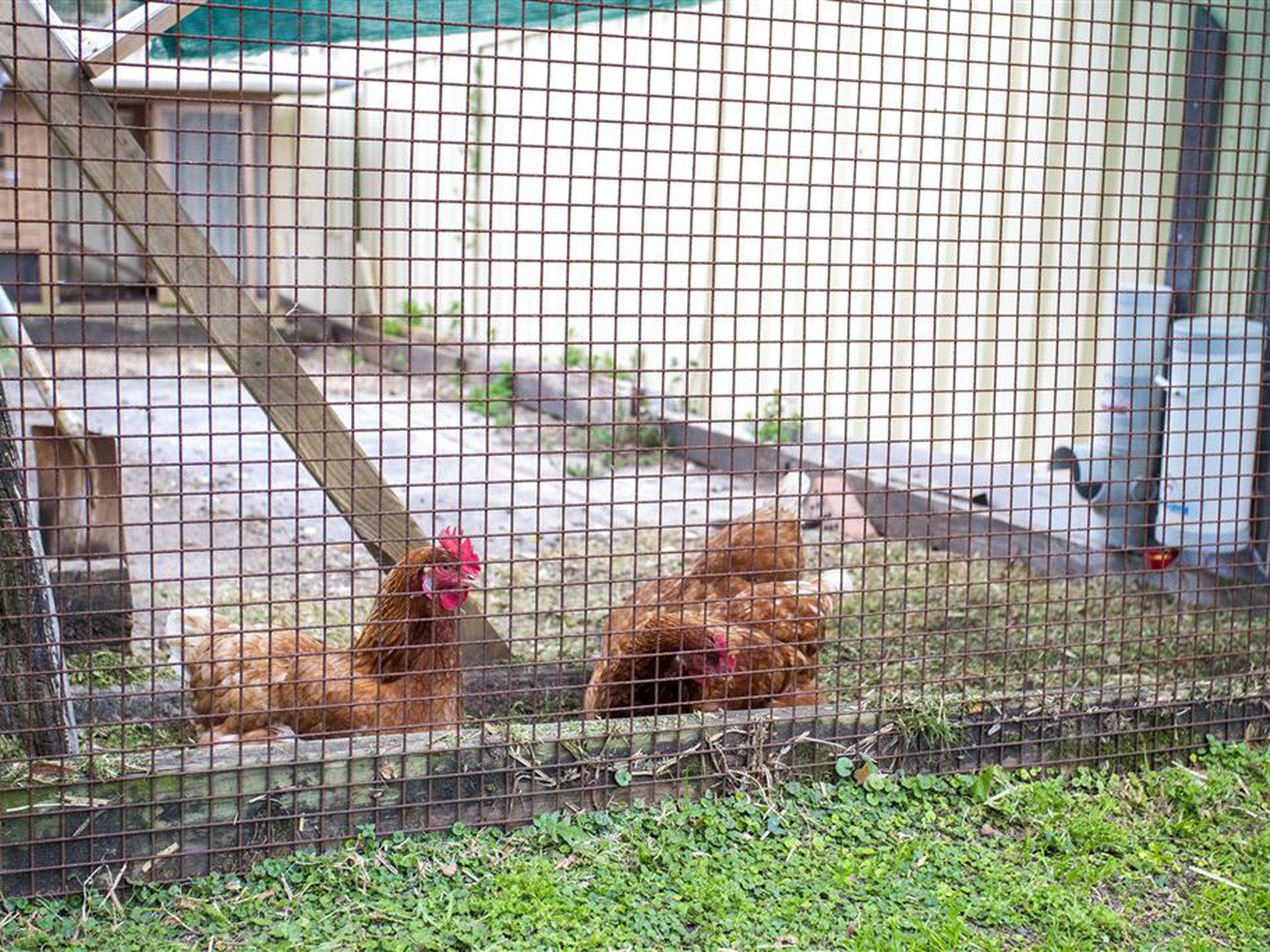 1 Colden Place, Ulladulla