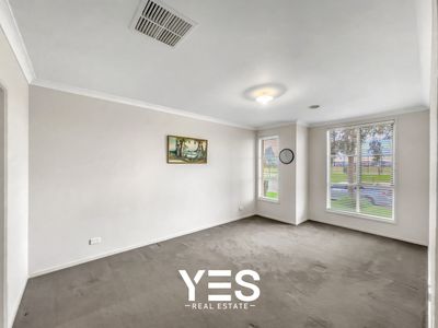 49 Springleaf Avenue, Clyde North
