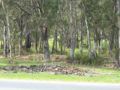 Huon Highway, Port Huon