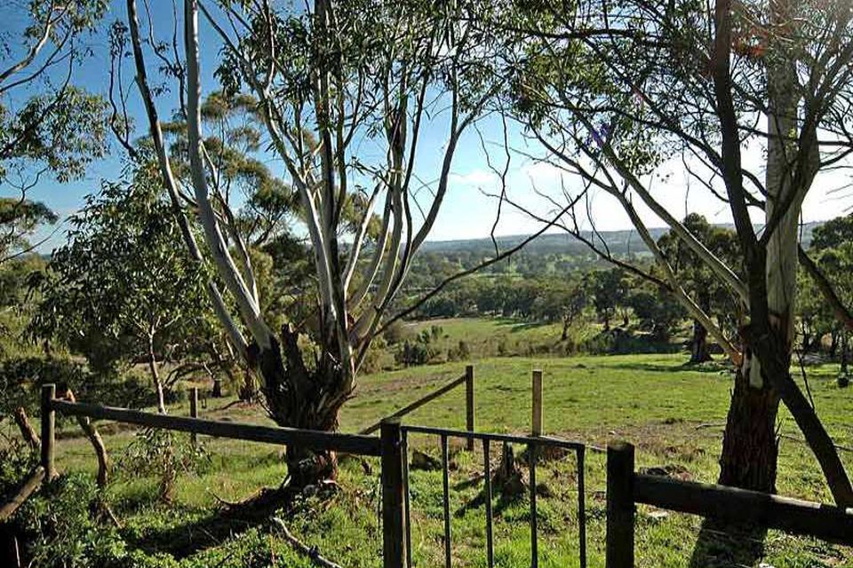 Birdwood CE Property Group