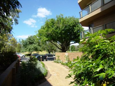 3B / 100 South Terrace, Adelaide