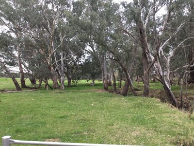 709 Indigo Creek Road, Indigo Valley