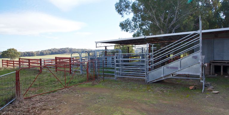 398 Bonnie Doon Road, Euroa