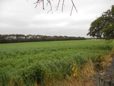 137 Telford Road, Moorak
