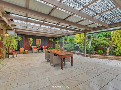 43 Holbourne Drive, Junction Village