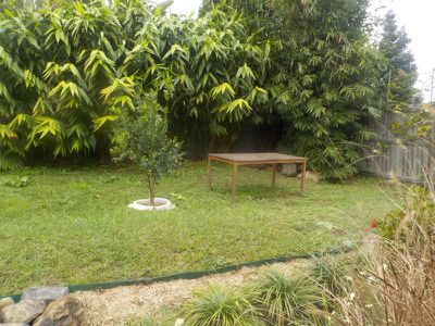 Nimbin