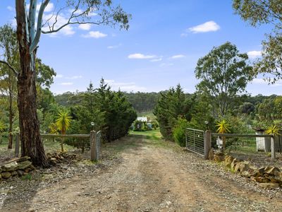 81 Tehan Court, Heathcote