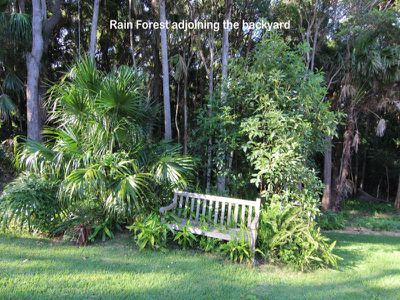14 Stephen Street, Forster