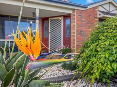 21 Hamilton Drive, Cranbourne North