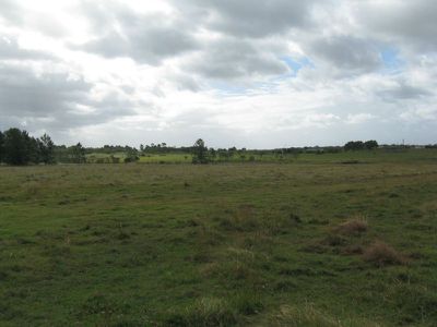 Moorland