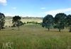 636 Waldegrave Road, Forest Reefs
