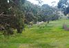 Back Valley