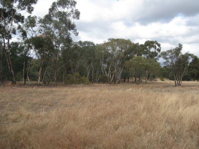 215L 215L Narromine Road "BandyWallop", Dubbo