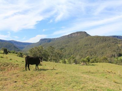977C 977C Upper Kangaroo River Road, Kangaroo Valley