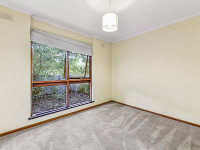 53 Williams Road, Millicent