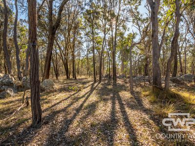 239 Geyers Road, Tenterfield