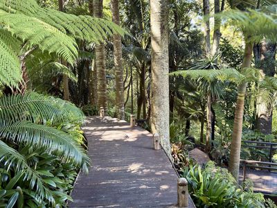 107 Hadfield Street, Beach Haven