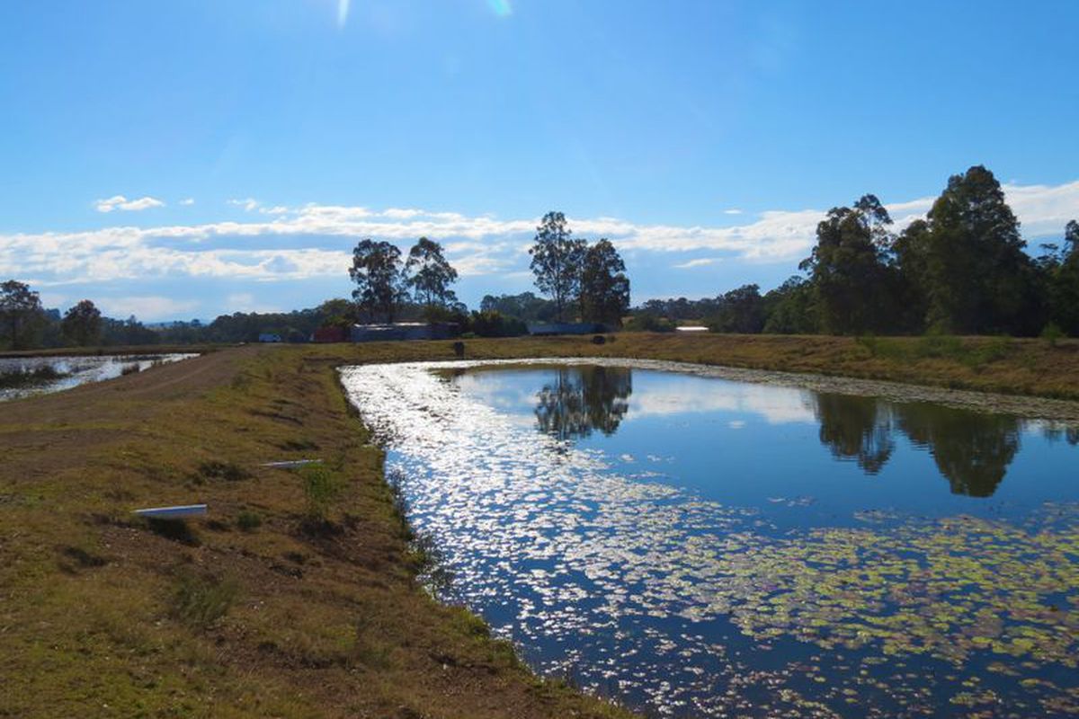 6382 The Bucketts Way, Tinonee