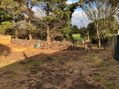 132 Cape Schanck Road, Cape Schanck