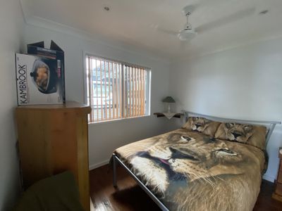17 Wilkin Street, River Heads
