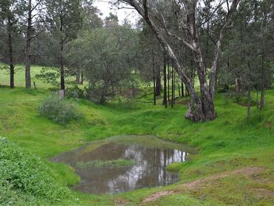 Lot 582 Icely Street, Eugowra
