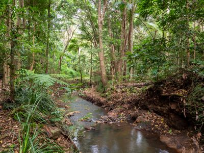 21 Carrington Drive, Flaxton