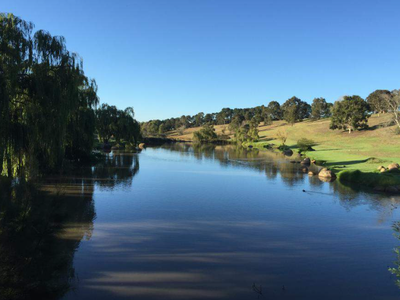 Greenvale