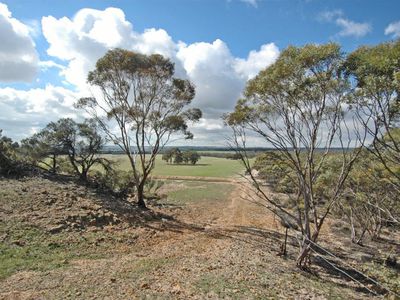 18717 / Mawson Dodenanning Road, Quairading