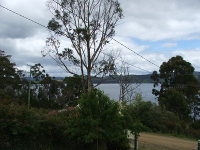 81 Williams Road, Randalls Bay