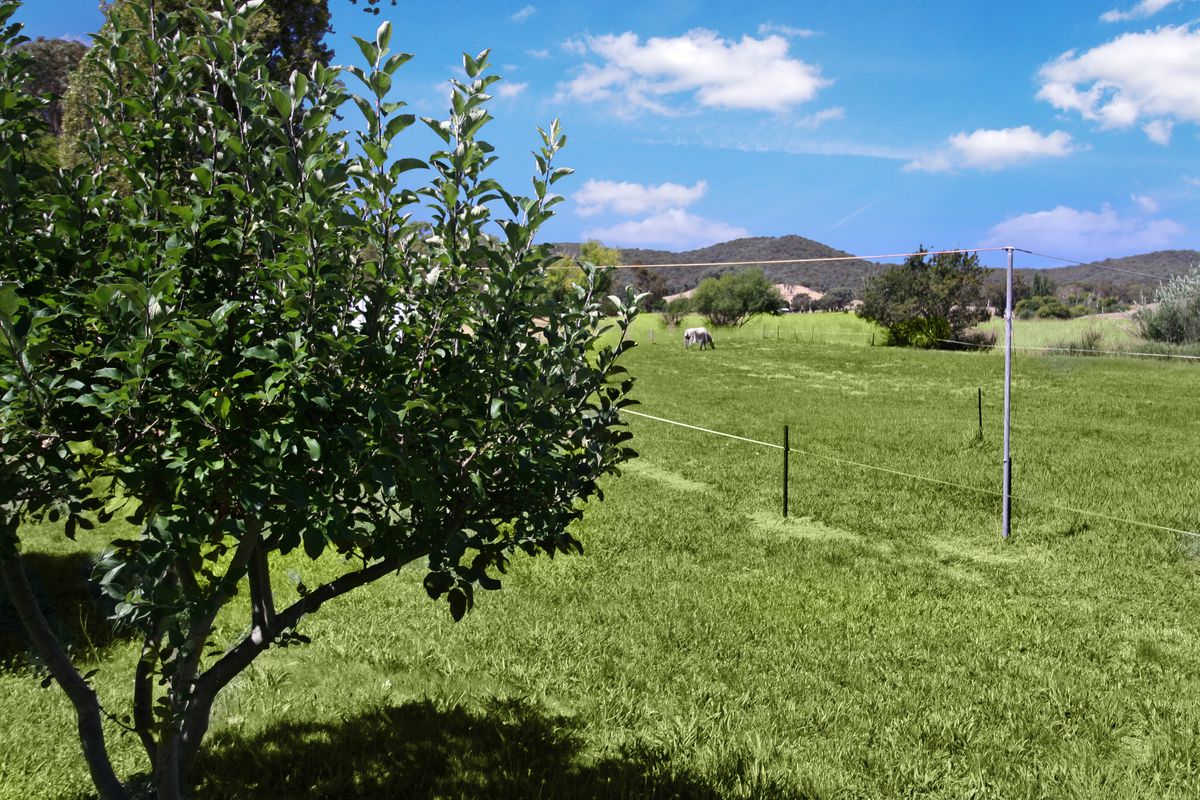 52 Sawyer Rd, Samaria