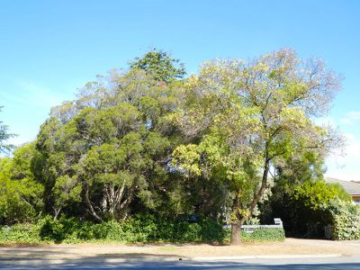 19 Rushworth Rd, Murchison
